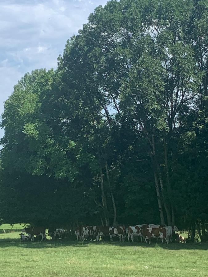 Petit cocon entre lac, golf et montagne proche d'Annecy- Séjour tout compris Giez Extérieur photo
