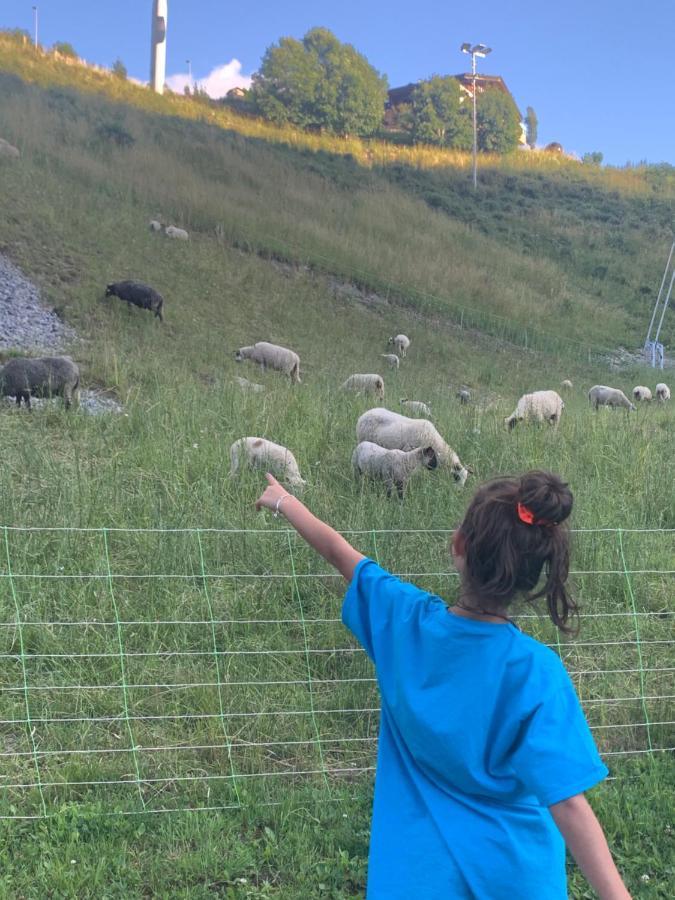 Petit cocon entre lac, golf et montagne proche d'Annecy- Séjour tout compris Giez Extérieur photo